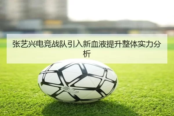 img_1781217506260_1012_1_477.jpg